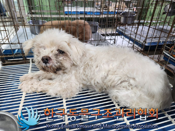 한국동물구조관리협회_411316202300826